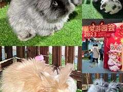 -南京海底世界