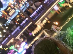 -沈大成(城隍庙店)
