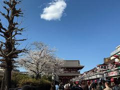 -浅草寺