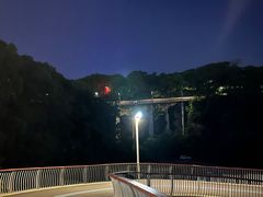 -飞凤山奥体公园