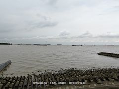 -上海滨江森林公园