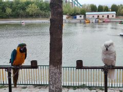 -水上乐园·欢乐世界