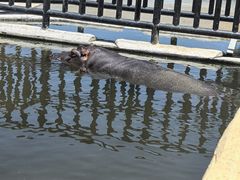 -鄂尔多斯野生动物园