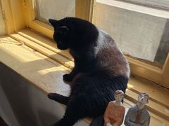 -春风十里咖啡馆