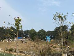 -铁山坪森林公园