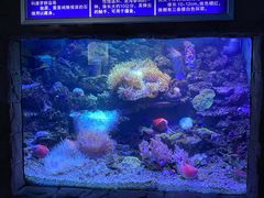 -左海海底世界