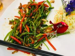 -锦粤宫·精致粤菜(深圳北站店)