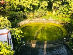 -杭州第一世界大酒店·云曼温泉