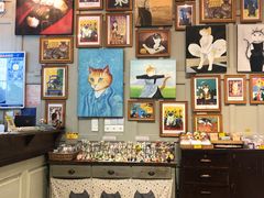-猫咪博物馆(顶澳仔猫街店)