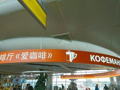 -谢列梅捷沃国际机场