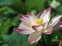 -丝绸小镇荻港古村