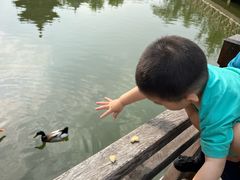 -迎泽公园
