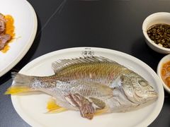 黄墙鱼-吴记富苑(朝阳店)