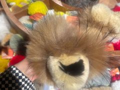 -番茄口袋(上海普陀区环球港店)