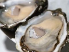 -Oyster Talks 四度蚝法餐厅