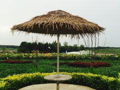 -北纬44度·金珠花海休闲农业旅游景区