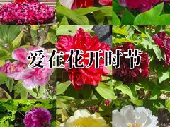 -太阳宫公园