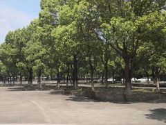 -安飞驰驾校·学车连锁(金高店)