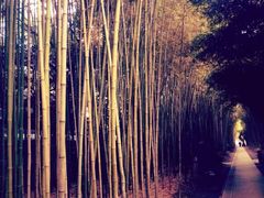 -上海市龙华烈士陵园