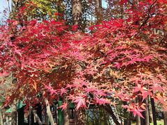 -共青国家森林公园-售票处