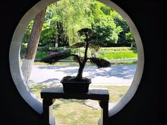 -泰州凤城河风景区-泰山公园
