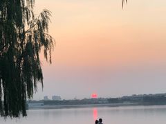 -丁香湖公园