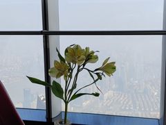 -上海之巅观光厅