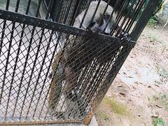 -广东茂名森林公园