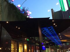 -bluefrog蓝蛙(水游城店)