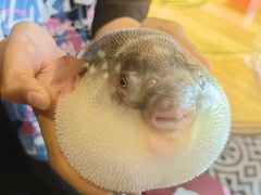 -永安鱼庄·镇江菜(丁卯店)