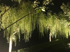 -嘉定紫藤园