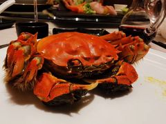 -浦东绿地铂骊酒店-POYA西餐厅(绿地东海岸国际广场店)