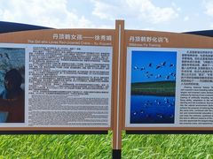 -黑龙江扎龙生态旅游区