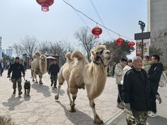 -华夏文旅西安度假区