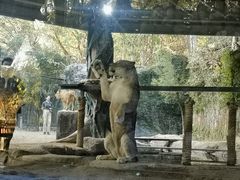 -清迈夜间动物园