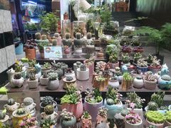 -扶光书店(中环店)