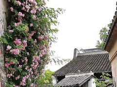 -秦园惠山豆腐花(惠山古镇店)