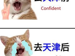 -必点海鲜·海肠捞饭大王(滨江道店)