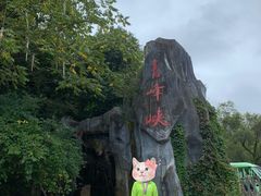 -青峰峡国家森林公园