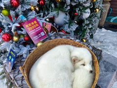 -波塞冬旅游度假区