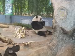 -海南热带野生动植物园
