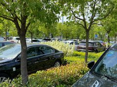 -上海浦江郊野公园·1号停车场