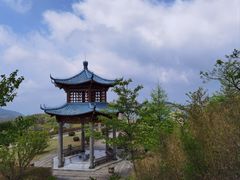 -江南天池