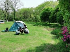 -九里河湿地公园