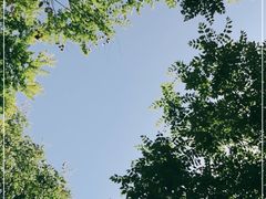 -廊坊市自然公园