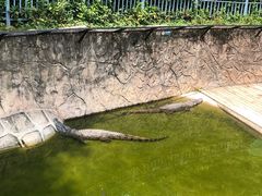 -深圳野生动物园
