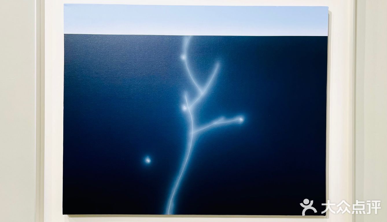 适度拟真｜贾志恒的视觉景观💚☘️