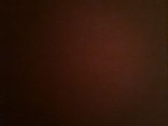 -老王四季抻面(南六东路店)