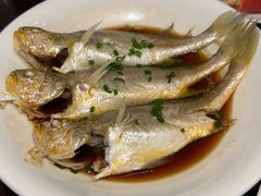 清蒸黄花鱼-京香轩·中餐厅(上海中庚聚龙酒店)