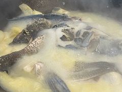 -好灶头妈妈菜·柴火灶台鱼·千岛湖土菜地标美食